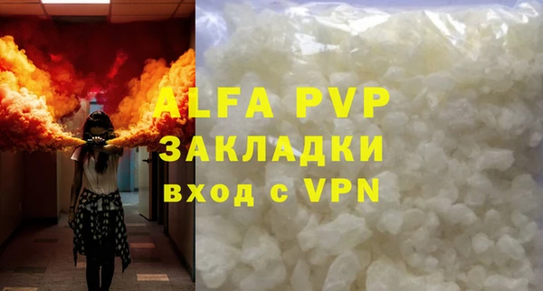 ГАЛЛЮЦИНОГЕННЫЕ ГРИБЫ Коряжма