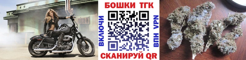 Купить закладки  Гаджиево  Бошки Шишки White Widow 